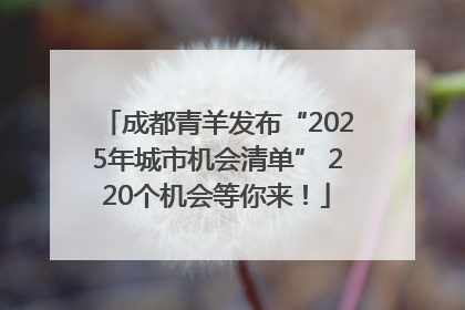 成都青羊发布“2025年城市机会清单” 220个机会等你来！