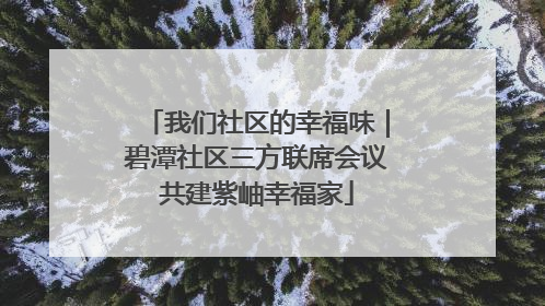 我们社区的幸福味｜碧潭社区三方联席会议共建紫岫幸福家