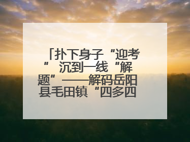 扑下身子“迎考” 沉到一线“解题”——解码岳阳县毛田镇“四多四好”工作法