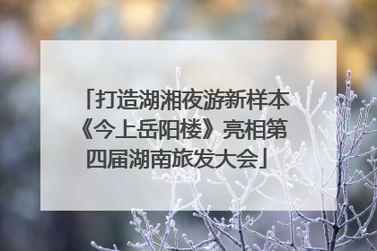 打造湖湘夜游新样本《今上岳阳楼》亮相第四届湖南旅发大会