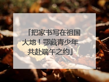 把家书写在祖国大地！鄂藏青少年共赴端午之约