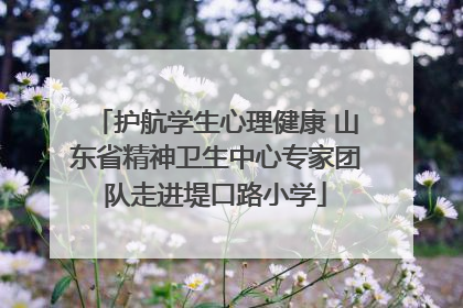 护航学生心理健康 山东省精神卫生中心专家团队走进堤口路小学