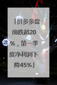 拼多多盘前跌超20%，第一季度净利润下降45%