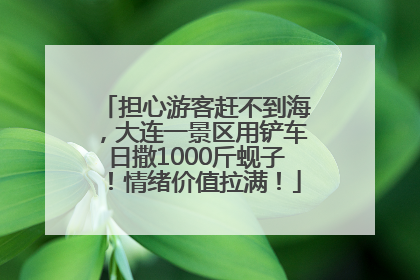 担心游客赶不到海，大连一景区用铲车日撒1000斤蚬子！情绪价值拉满！