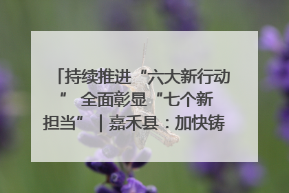 持续推进“六大新行动 ” 全面彰显“七个新担当”｜嘉禾县：加快铸造行业提档升级 助力绿色高质量发展