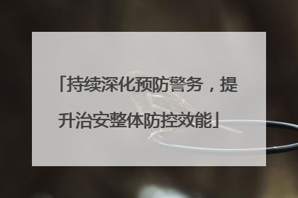 持续深化预防警务，提升治安整体防控效能