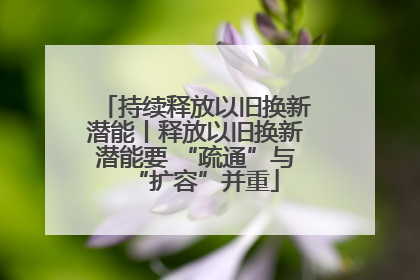 持续释放以旧换新潜能丨释放以旧换新潜能要 “疏通”与“扩容”并重