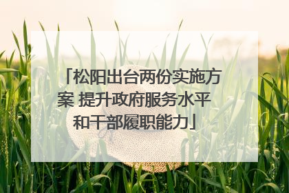 松阳出台两份实施方案 提升政府服务水平和干部履职能力