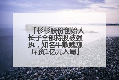 杉杉股份创始人长子全部持股被强执，知名牛散魏巍斥资1亿元入局