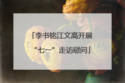 李书铭江文高开展“七一”走访慰问
