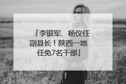李银军、杨仪任副县长！陕西一地任免7名干部