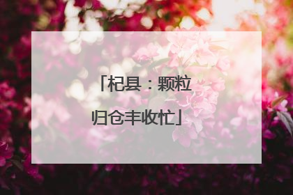 杞县：颗粒归仓丰收忙