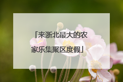 来浙北最大的农家乐集聚区度假