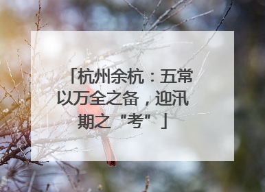 杭州余杭：五常以万全之备，迎汛期之“考”