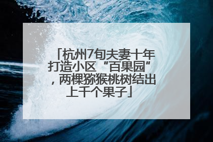 杭州7旬夫妻十年打造小区“百果园”，两棵猕猴桃树结出上千个果子