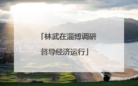 林武在淄博调研督导经济运行