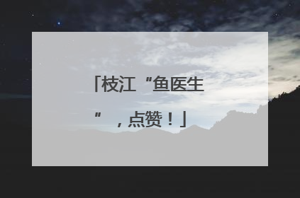 枝江“鱼医生”，点赞！