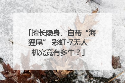 擅长隐身、自带“海狸尾” 彩虹-7无人机究竟有多牛？
