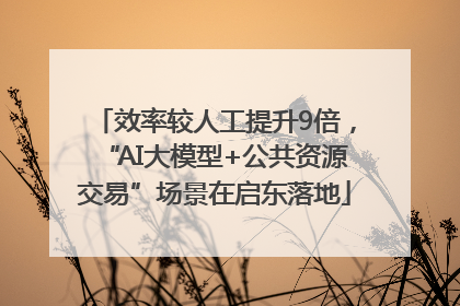 效率较人工提升9倍，“AI大模型+公共资源交易”场景在启东落地