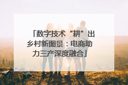 数字技术“耕”出乡村新图景：电商助力三产深度融合