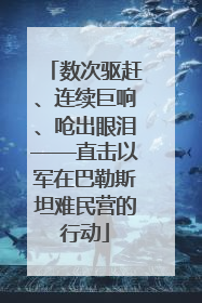 数次驱赶、连续巨响、呛出眼泪——直击以军在巴勒斯坦难民营的行动