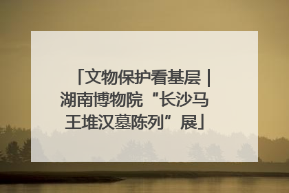 文物保护看基层｜湖南博物院“长沙马王堆汉墓陈列”展