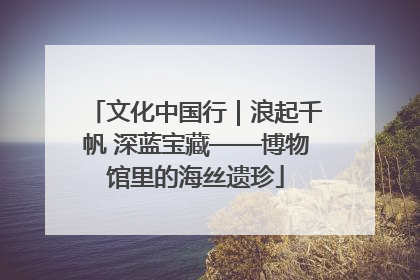 文化中国行｜浪起千帆 深蓝宝藏——博物馆里的海丝遗珍