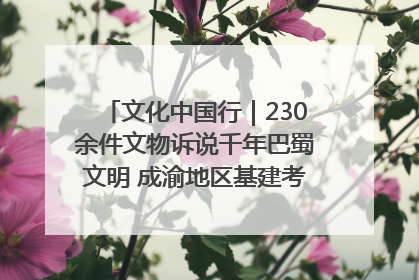 文化中国行｜230余件文物诉说千年巴蜀文明 成渝地区基建考古成果展开展