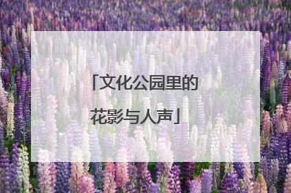 文化公园里的花影与人声