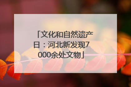 文化和自然遗产日：河北新发现7000余处文物