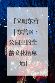 文明东营｜东营区：公园里的全龄文化栖息地
