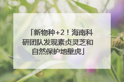 新物种+2！海南科研团队发现素贞灵芝和自然保护地壁虎