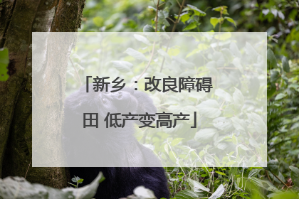 新乡：改良障碍田 低产变高产