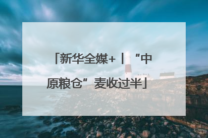 新华全媒+丨“中原粮仓”麦收过半
