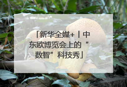 新华全媒+丨中东欧博览会上的“数智”科技秀