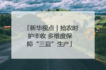 新华视点｜抢农时 护丰收 多维度保障“三夏”生产