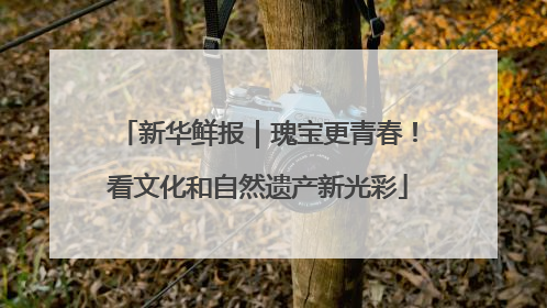 新华鲜报｜瑰宝更青春！看文化和自然遗产新光彩