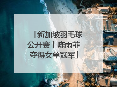 新加坡羽毛球公开赛丨陈雨菲夺得女单冠军
