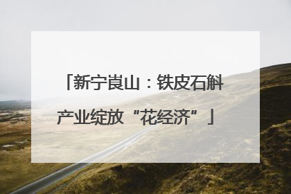 新宁崀山：铁皮石斛产业绽放“花经济”