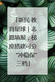 新民·教育星球｜志愿填报，梯度搭建可分“冲稳保”三档