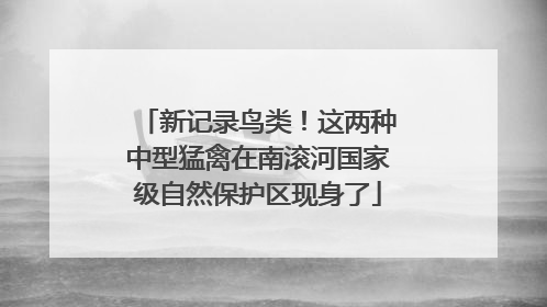 新记录鸟类！这两种中型猛禽在南滚河国家级自然保护区现身了