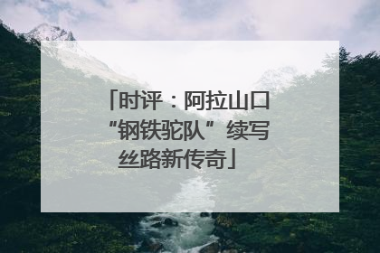 时评：阿拉山口“钢铁驼队”续写丝路新传奇