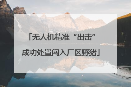无人机精准“出击” 成功处置闯入厂区野猪