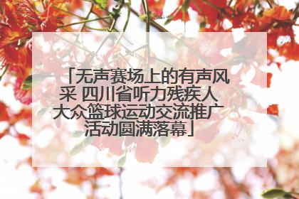 无声赛场上的有声风采 四川省听力残疾人大众篮球运动交流推广活动圆满落幕