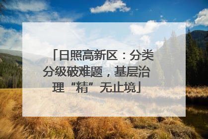 日照高新区：分类分级破难题，基层治理“精”无止境