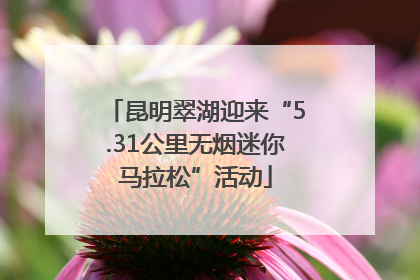昆明翠湖迎来“5.31公里无烟迷你马拉松”活动