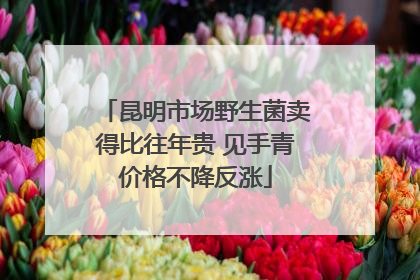 昆明市场野生菌卖得比往年贵 见手青价格不降反涨