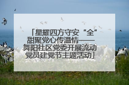 星耀四方守安“全” 甜聚党心传温情——舞阳社区党委开展流动党员建党节主题活动