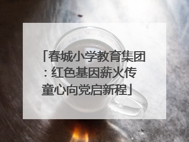 春城小学教育集团：红色基因薪火传 童心向党启新程