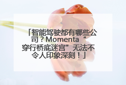 智能驾驶都有哪些公司？Momenta“穿行桥底迷宫”无法不令人印象深刻！